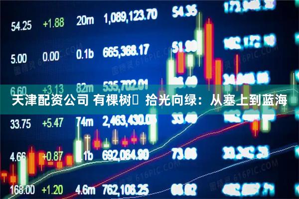 天津配资公司 有棵树・拾光向绿：从塞上到蓝海